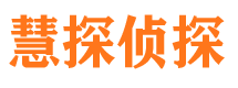 城中市侦探公司